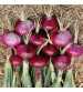 Onion IVONL-351 500 grams